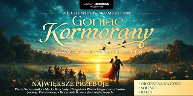Goniąc Kormorany w Rudzie Śląskiej